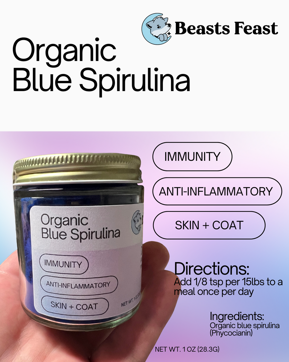 Organic Blue Spirulina Allergy & Immune Support Supplement Beasts Feast