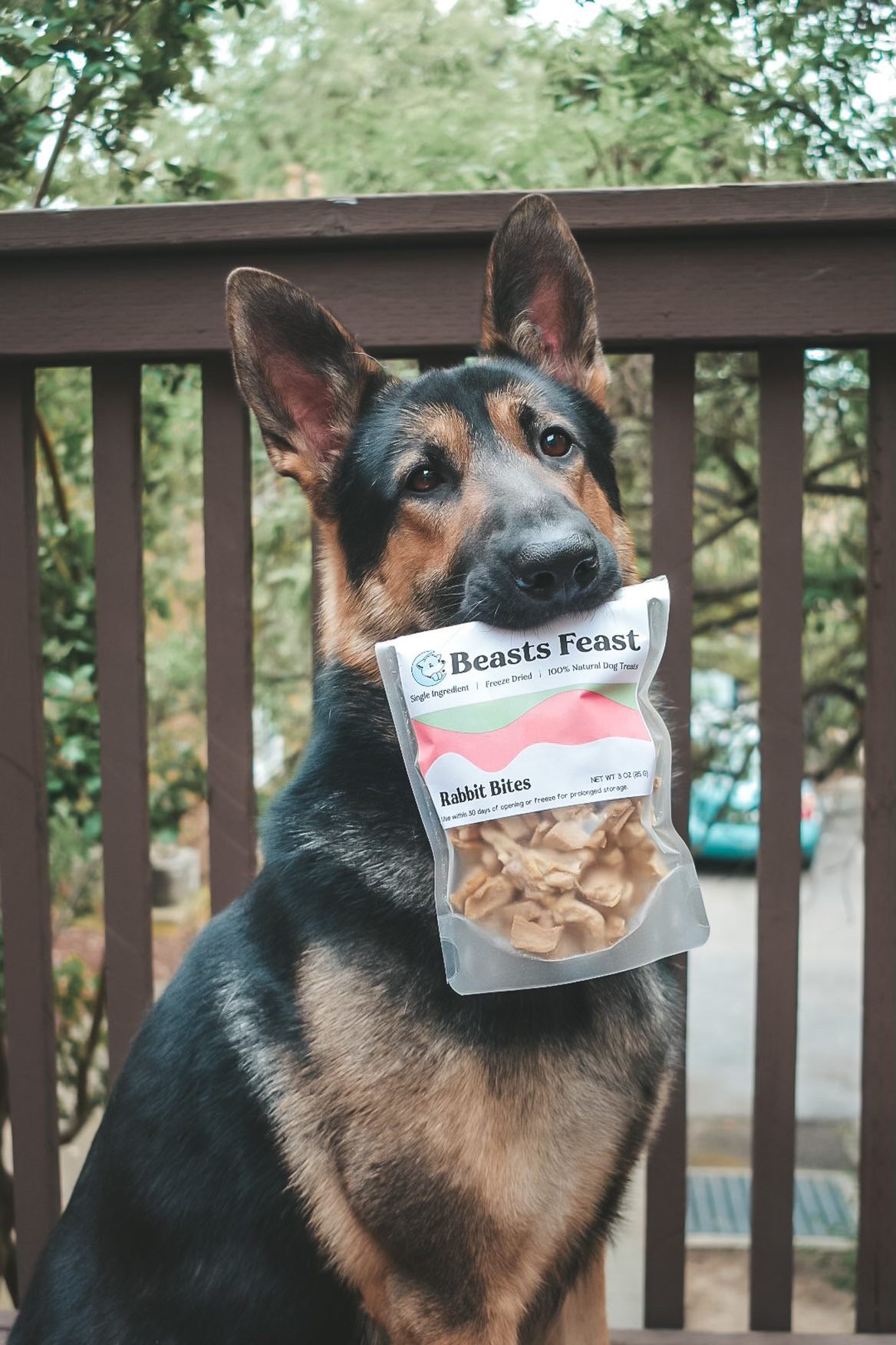 Freeze Dried Rabbit – Beasts Feast