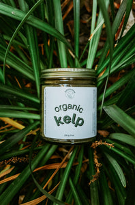 Organic Kelp | Skin + Coat, Dental, Allergy Supplement