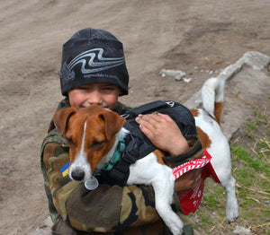 Make Dogs Drool, Not War Sticker for Ukraine