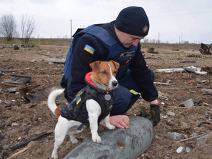 Make Dogs Drool, Not War Sticker for Ukraine